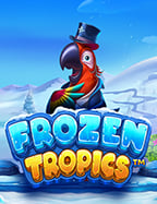 การ เล่น สล็อต โร มาเกม พนัน true wallet ที่คุณต้องรู้