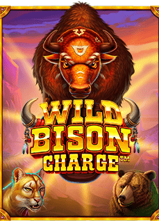 joker เว็บ ตรง คำแนะนำสำหรับนักเดิมพันสล็อต